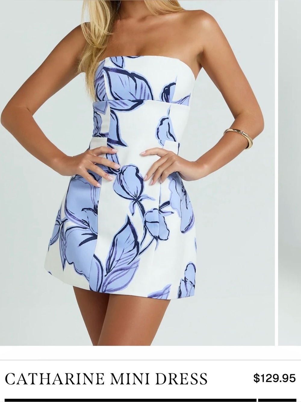 Catharine Mini Dress -Showpo.